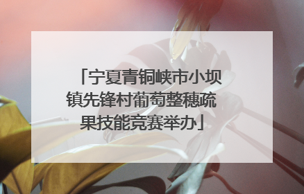 宁夏青铜峡市小坝镇先锋村葡萄整穗疏果技能竞赛举办